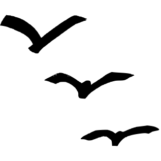 Centre Pédopsychiatrique et Psychothérapeutique Les Mouettes